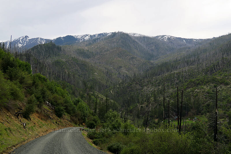 Illinois River Valley [Forest Road 087, Rogue River-Siskiyou National Forest, Josephine County, Oregon]