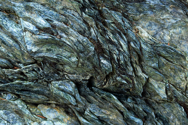 folded serpentine [Star Flat, Rogue River-Siskiyou National Forest, Josephine County, Oregon]