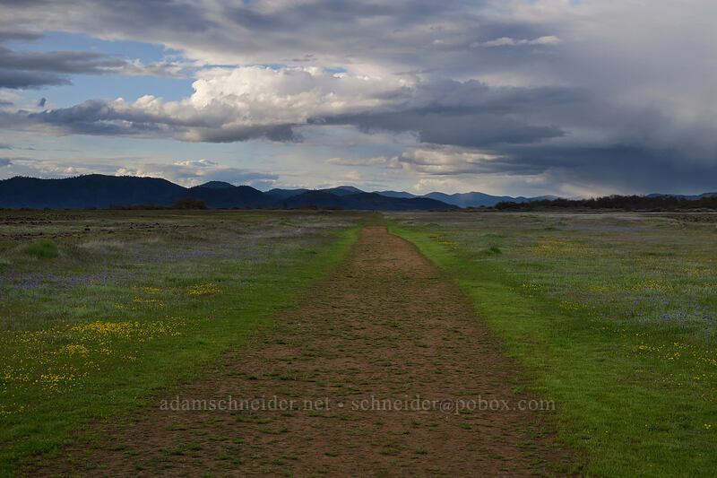 former runway [Lower Table Rock, Jackson County, Oregon]