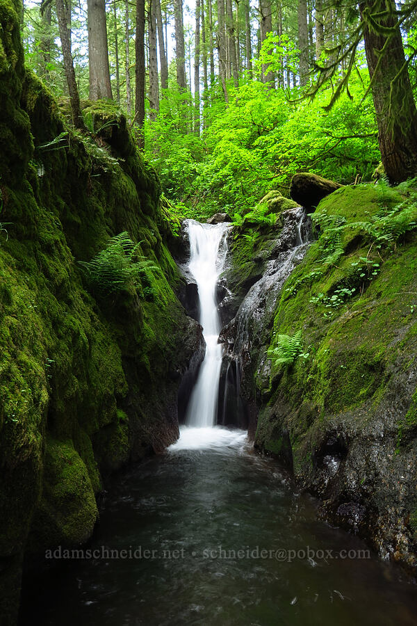 Duncan Creek Falls [Nellie Corser Wildlife Area, Skamania County, Washington]