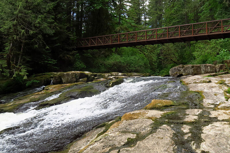 Lower Falls [Lacamas Park, Camas, Clark County, Washington]