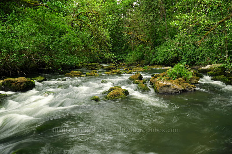 Lacamas Creek [Lacamas Park, Camas, Clark County, Washington]