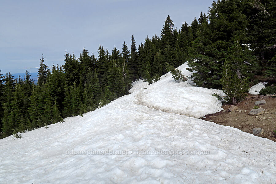 snow near the summit [Lookout Mountain, Mt. Hood National Forest, Hood River County, Oregon]