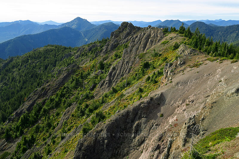 Sardine Mountain's summit ridge [Sardine Mountain, Willamette National Forest, Marion County, Oregon]