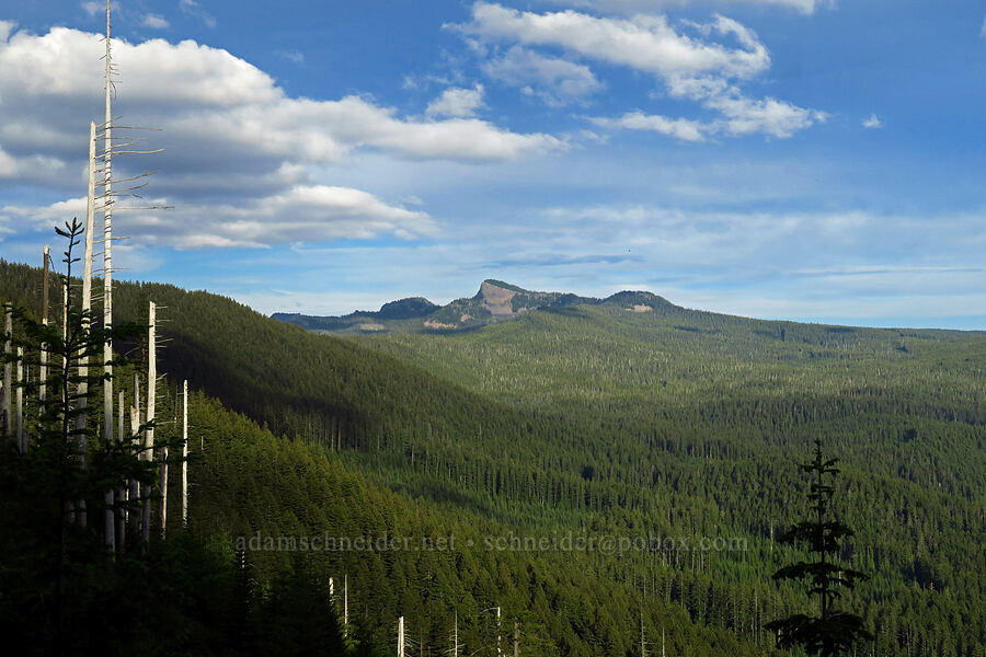 Fuji Mountain [Bunchgrass Ridge, Willamette National Forest, Lane County, Oregon]