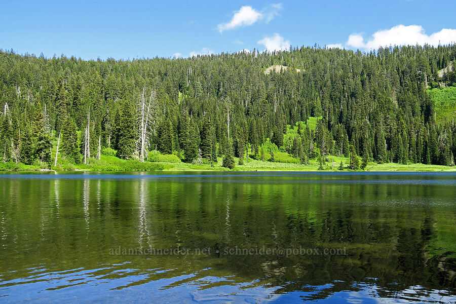 Blair Lake [Blair Lake Campground, Willamette National Forest, Lane County, Oregon]