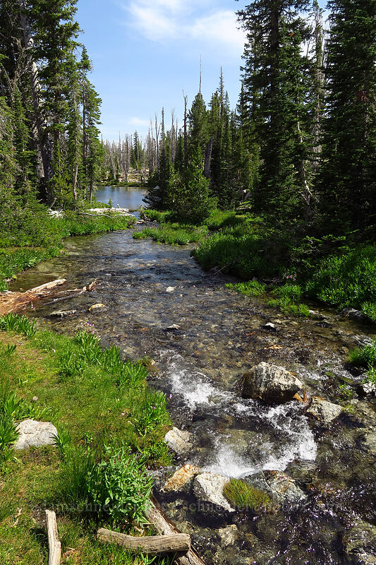 headwaters of Iron Creek [Iron Creek-Stanley Lake Trail, Sawtooth Wilderness, Custer County, Idaho]
