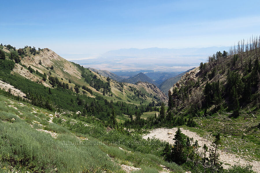 view toward the Oquirrh Mountains [Stansbury Crest Trail, Deseret Peak Wilderness, Tooele County, Utah]