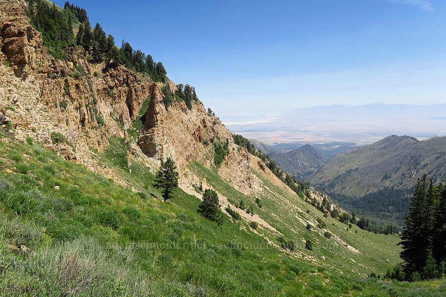 view to the northeast [Stansbury Crest Trail, Deseret Peak Wilderness, Tooele County, Utah]