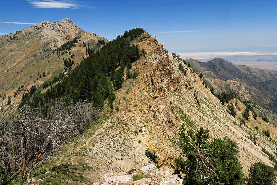 Stansbury Mountains [Stansbury Crest Trail, Deseret Peak Wilderness, Tooele County, Utah]