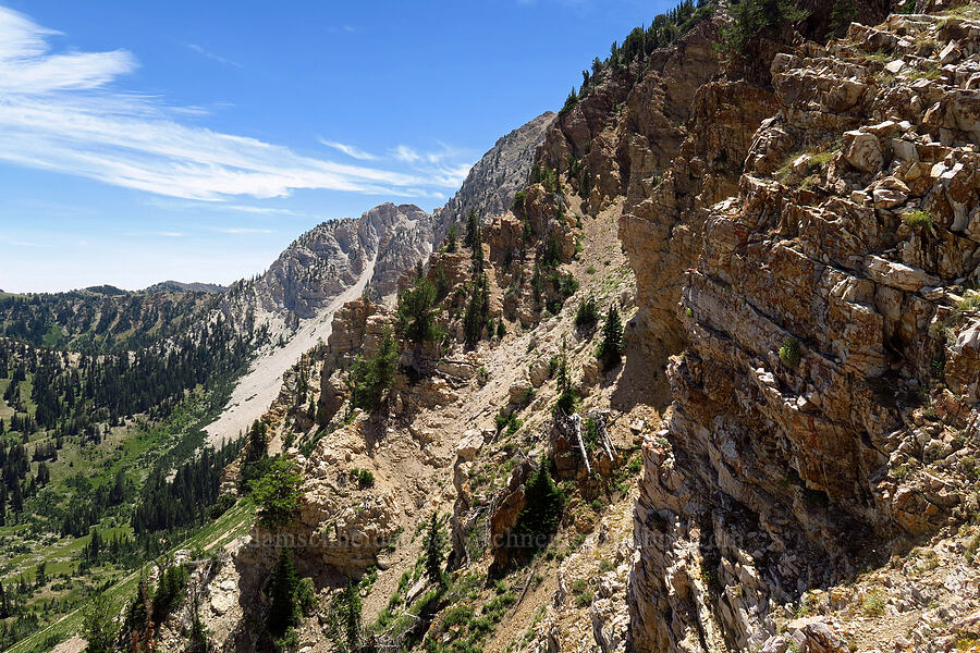 east side of Deseret Peak [Stansbury Crest Trail, Deseret Peak Wilderness, Tooele County, Utah]