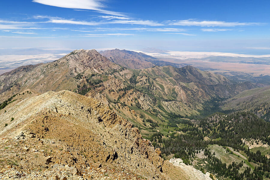 Stansbury Mountains & South Willow Canyon [Deseret Peak summit, Deseret Peak Wilderness, Tooele County, Utah]