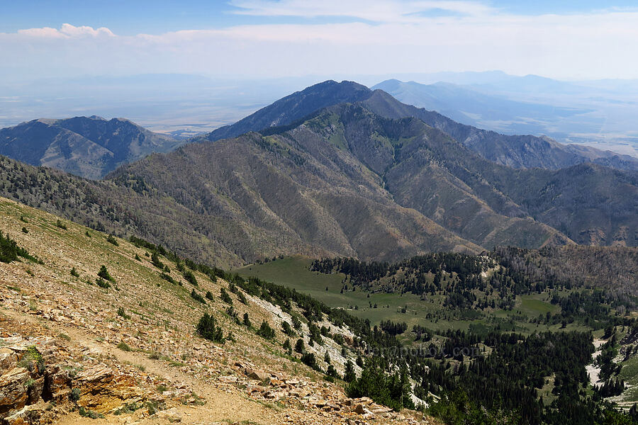 view to the south [Deseret Peak summit, Deseret Peak Wilderness, Tooele County, Utah]
