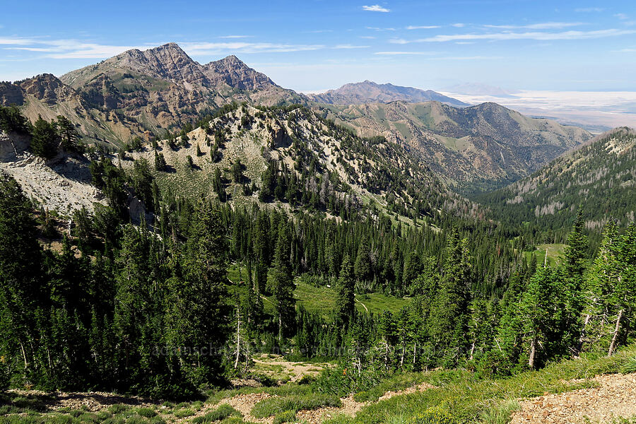 Stansbury Mountains [Mill Fork Canyon Trail, Deseret Peak Wilderness, Tooele County, Utah]
