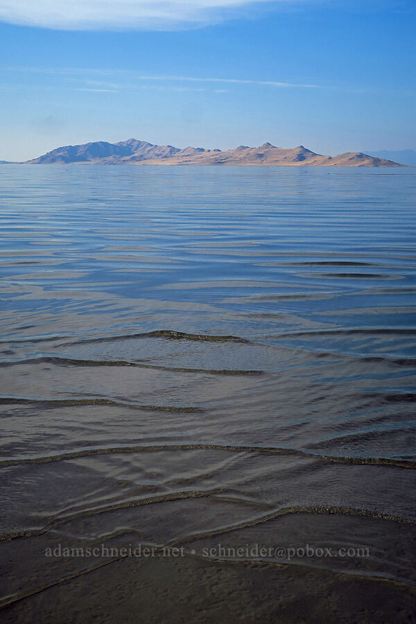 Antelope Island [Great Salt Lake, Salt Lake County, Utah]