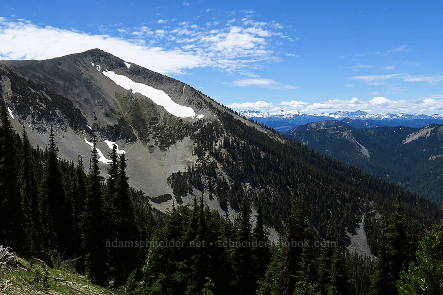 south end of Nelson Ridge & Goat Rocks [Mt. Aix Trail, William O. Douglas Wilderness, Yakima County, Washington]