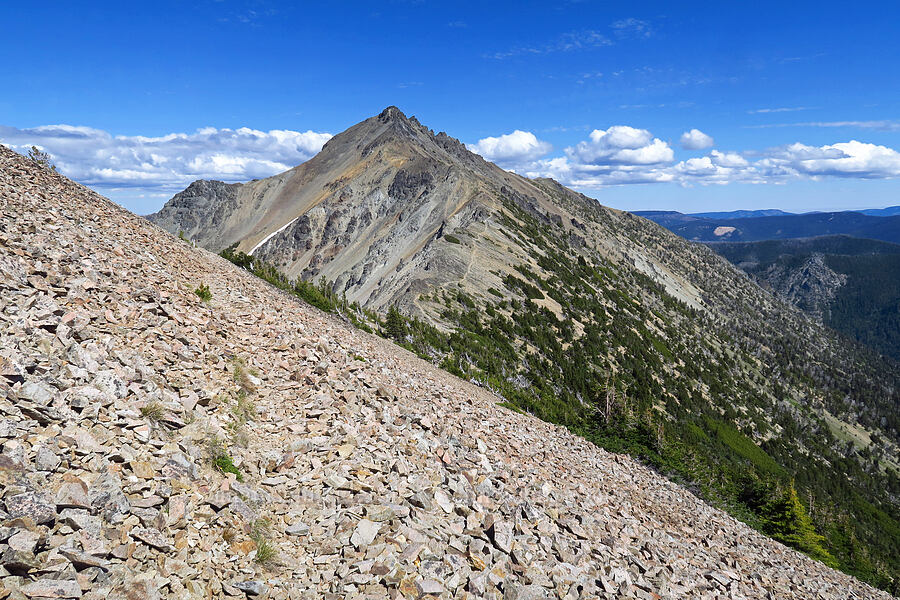 Mount Aix [Mt. Aix Trail, William O. Douglas Wilderness, Yakima County, Washington]