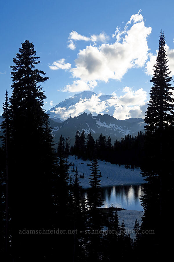 Mount Rainier, Governors Ridge, & Tipsoo Lake [SR-410, Mt. Rainier National Park, Pierce County, Washington]