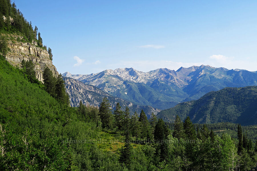 White Baldy, Red Baldy, & American Fork Twin Peaks [Timpooneke Trail, Mount Timpanogos Wilderness, Utah County, Utah]