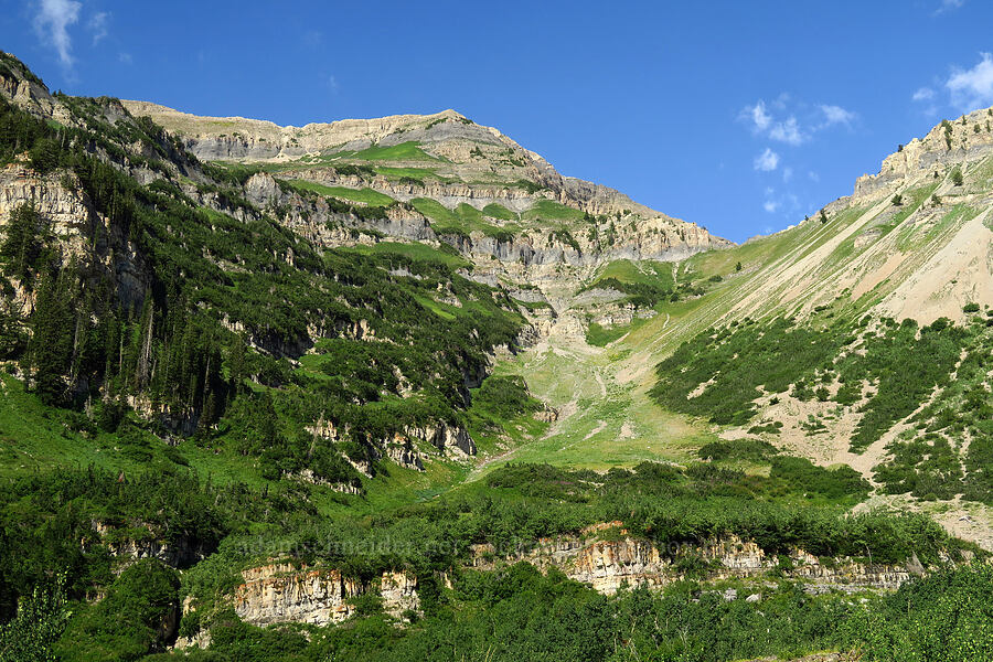 Giant's Staircase [Timpooneke Trail, Mount Timpanogos Wilderness, Utah County, Utah]
