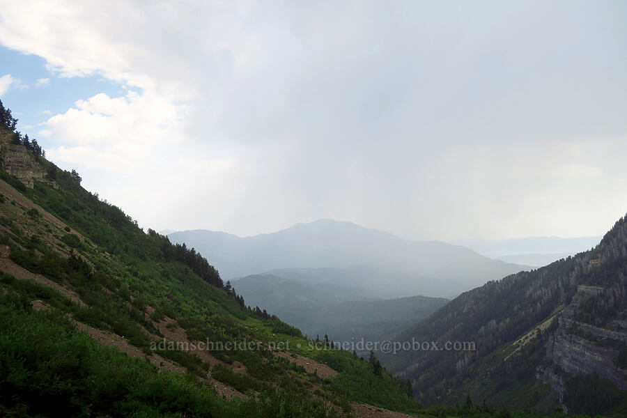 thunderstorm [Timpooneke Trail, Mount Timpanogos Wilderness, Utah County, Utah]