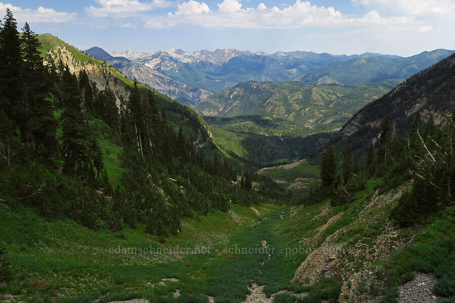Wasatch Mountains [Timpooneke Trail, Mount Timpanogos Wilderness, Utah County, Utah]