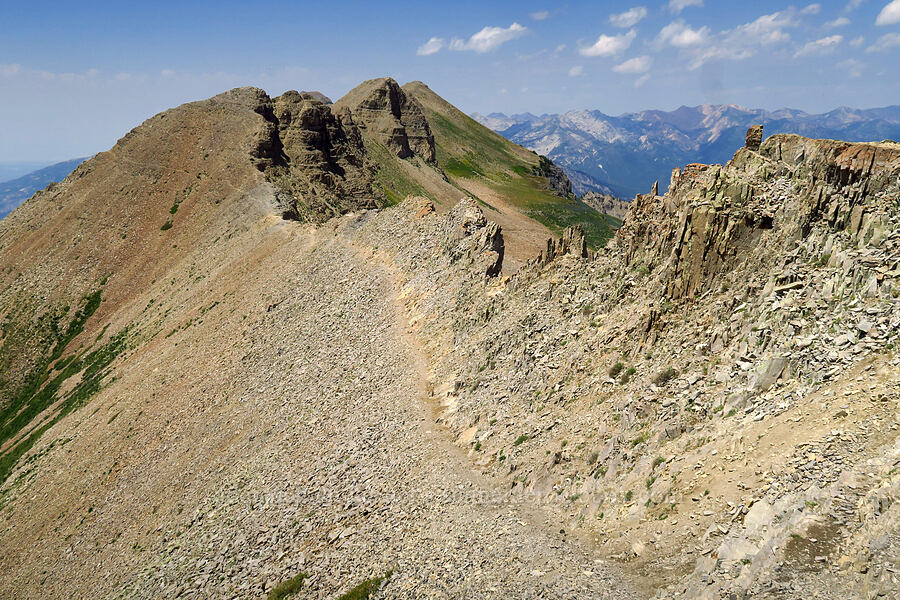 summit ridge & Bomber Peak [Timpanogos Summit Trail, Mount Timpanogos Wilderness, Utah County, Utah]