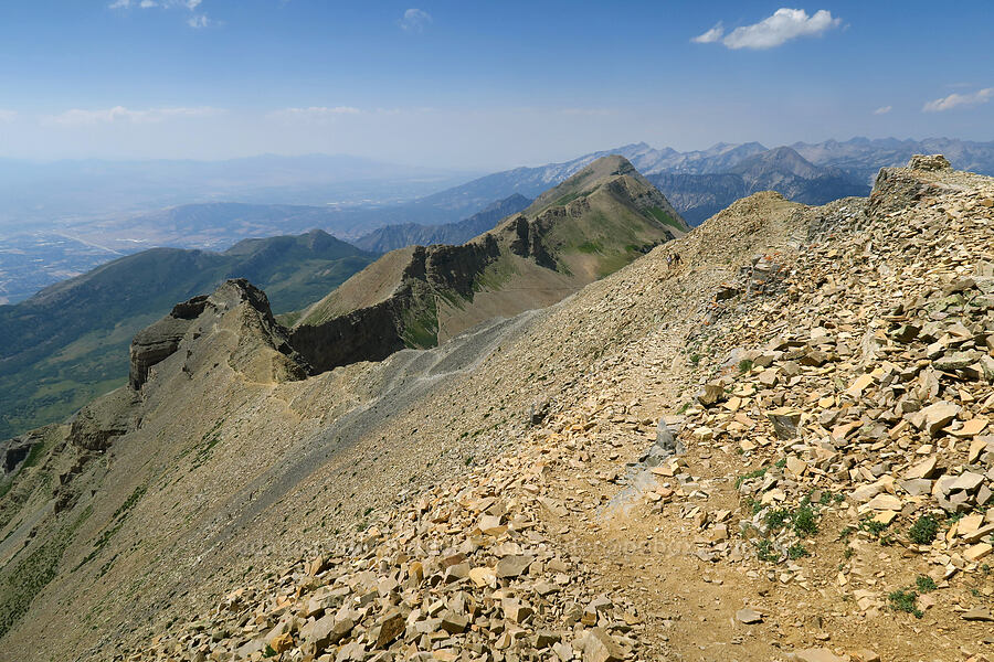 summit ridge [Timpanogos Summit Trail, Mount Timpanogos Wilderness, Utah County, Utah]