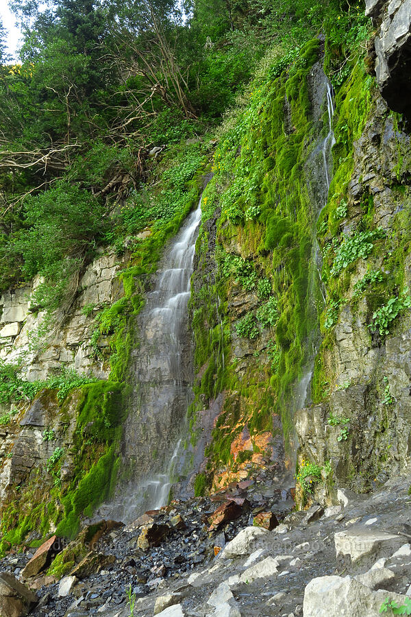 Scout Falls [Timpooneke Trail, Mount Timpanogos Wilderness, Utah County, Utah]