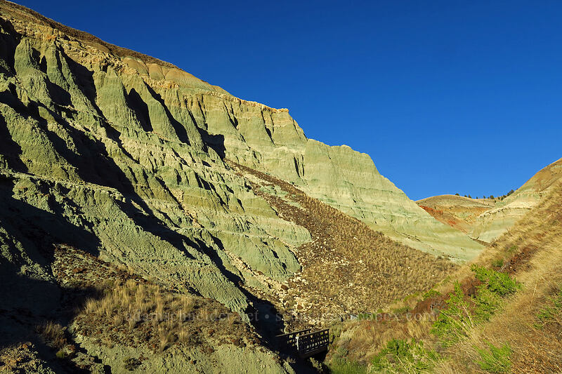 Blue Basin [Island In Time Trail, John Day Fossil Beds National Monument, Grant County, Oregon]
