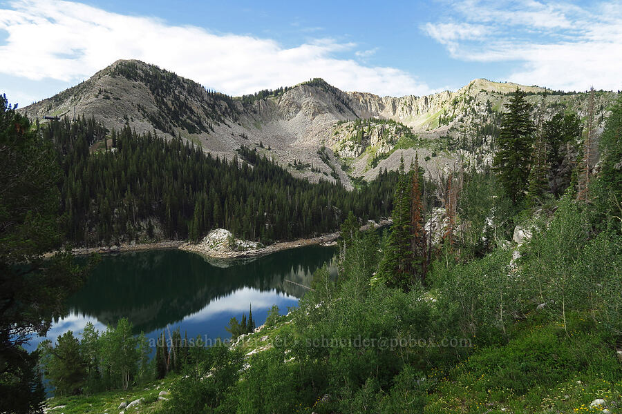 Twin Lake & Mt. Wolverine [Twin Lakes Reservoir, Uinta-Wasatch-Cache National Forest, Salt Lake County, Utah]