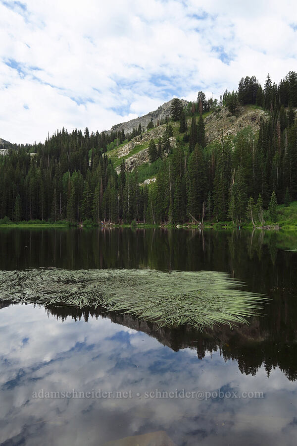 Silver Lake [Silver Lake Interpretive Trail, Brighton, Salt Lake County, Utah]