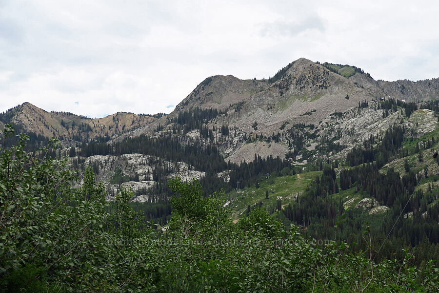 Mt. Millicent & Brighton Basin [Guardsman Pass Road, Uinta-Wasatch-Cache National Forest, Salt Lake County, Utah]