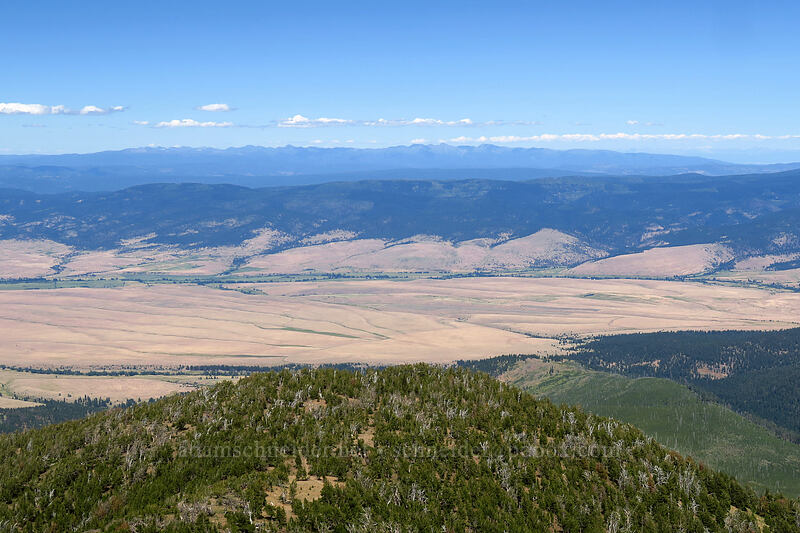 view to the northeast [Strawberry Mountain summit, Strawberry Mountain Wilderness, Grant County, Oregon]