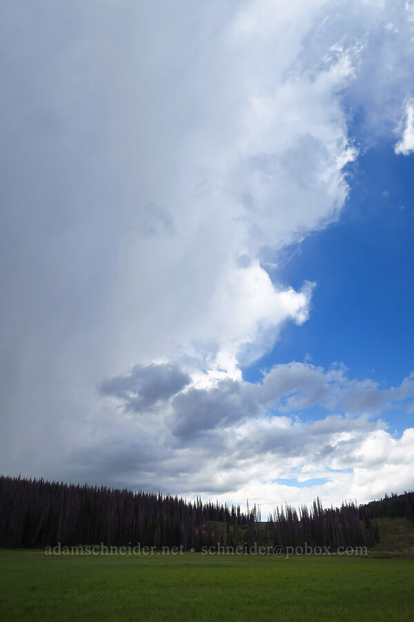 thunderclouds [Silver Meadow, Uinta-Wasatch-Cache National Forest, Wasatch County, Utah]