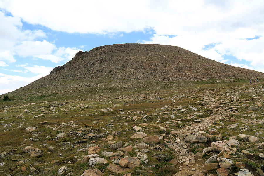 summit of Bald Mountain [Bald Mountain Trail, Uinta-Wasatch-Cache National Forest, Summit County, Utah]