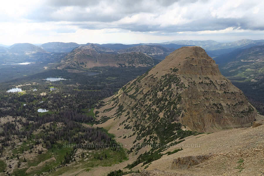 Reid's Peak [Bald Mountain summit, Uinta-Wasatch-Cache National Forest, Duchesne County, Utah]