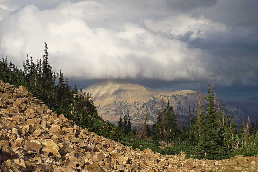 thunderstorms over Mt. Agassiz [Bald Mountain Trail, Uinta-Wasatch-Cache National Forest, Summit County, Utah]