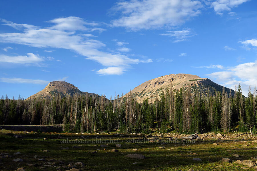 Reid's Peak & Bald Mountain [Lost Lake, Uinta-Wasatch-Cache National Forest, Summit County, Utah]