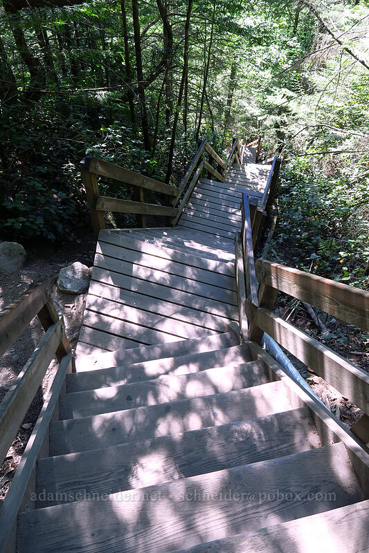 stairs [Chief Peaks Trail, Stawamus Chief Provincial Park, British Columbia, Canada]