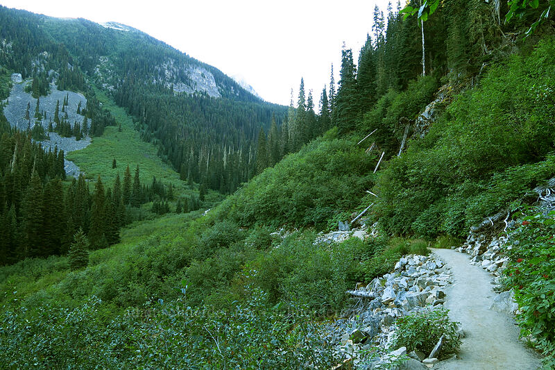 the trail [Joffre Lakes Trail, Joffre Lakes Provincial Park, British Columbia, Canada]