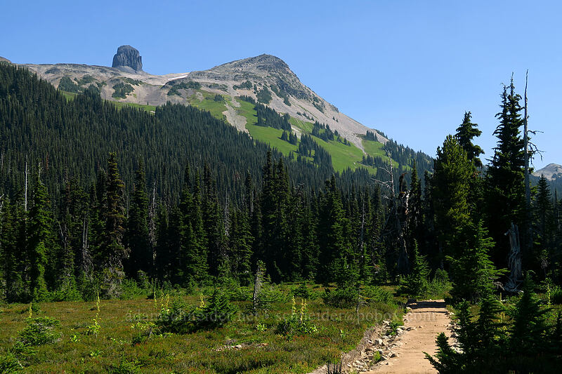The Black Tusk [Taylor Meadows Trail, Garibaldi Provincial Park, British Columbia, Canada]