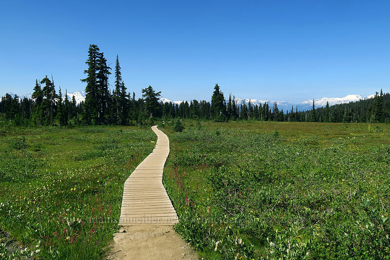 boardwalk & mountains [Taylor Meadows Trail, Garibaldi Provincial Park, British Columbia, Canada]