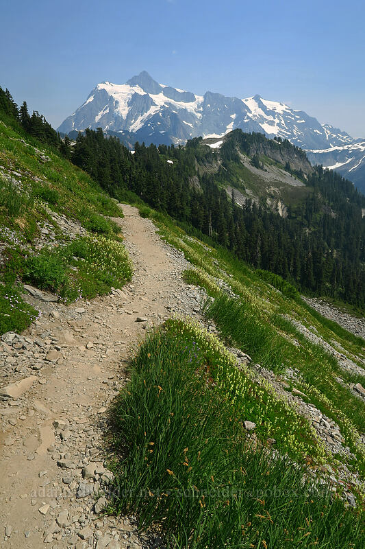 Mt. Shuksan [Chain Lakes Trail, Mount Baker-Snoqualmie National Forest, Whatcom County, Washington]