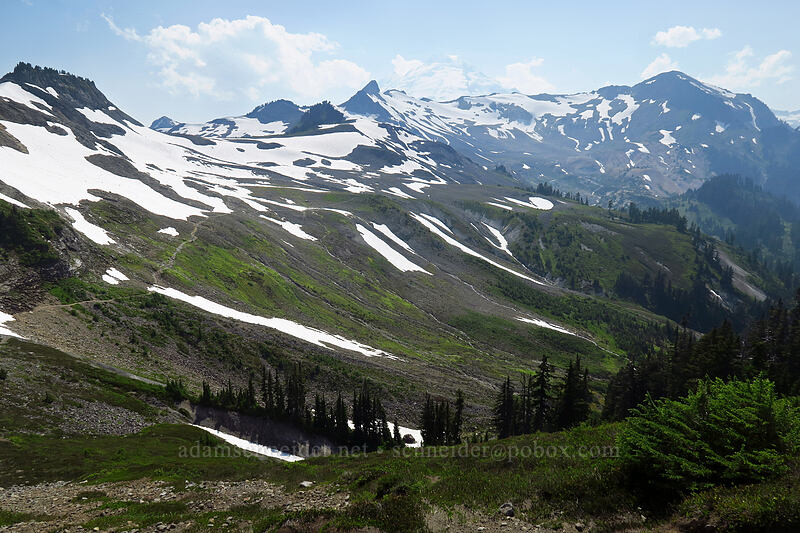Ptarmigan Ridge, Lasiocarpa Ridge, & Mt. Baker [Chain Lakes Trail, Mount Baker Wilderness, Whatcom County, Washington]