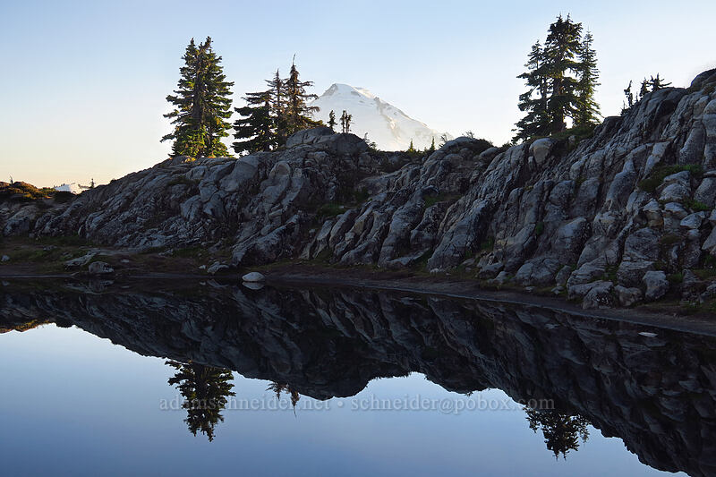 Mt. Baker & a pond [Artist Ridge Trail, Mount Baker-Snoqualmie National Forest, Whatcom County, Washington]