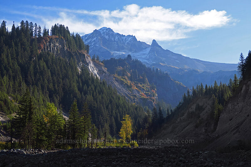 Mount Hood [Pacific Crest Trail, Mt. Hood Wilderness, Clackamas County, Oregon]