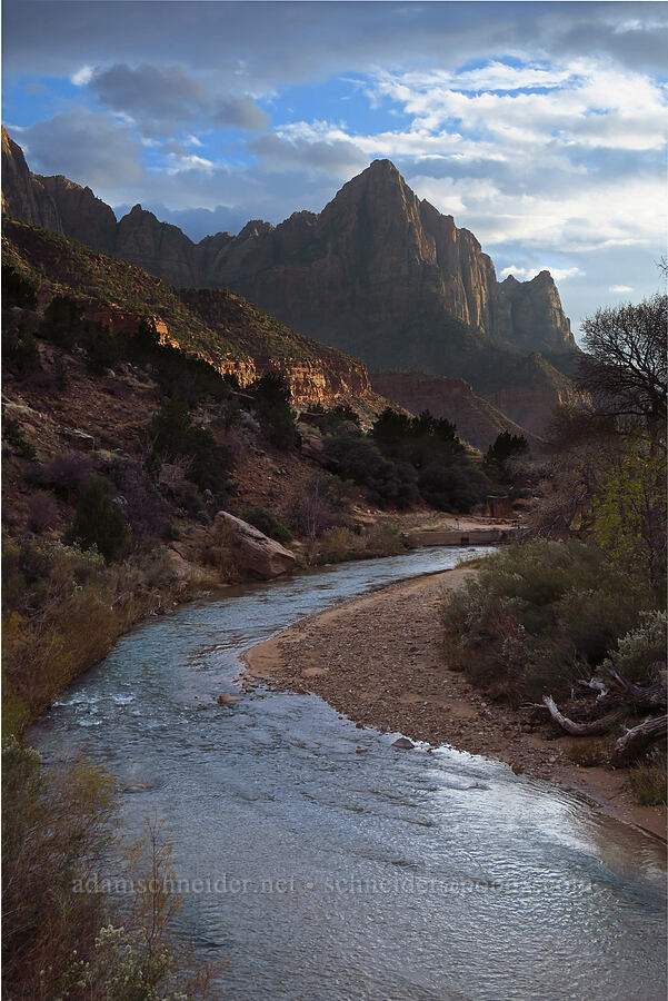 The Watchman & Virgin River [Canyon Junction, Zion National Park, Washington County, Utah]