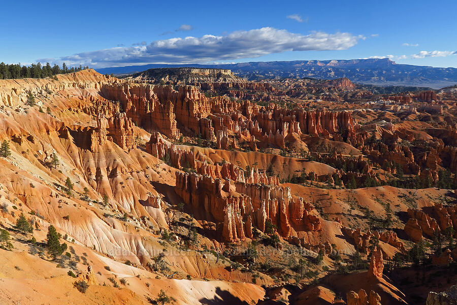 Bryce Amphitheater [Sunset Point, Bryce Canyon National Park, Garfield County, Utah]