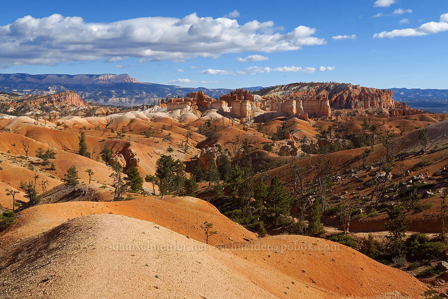 dunes, castles, Bristlecone Point, & Powell Point [Queen's Garden Trail, Bryce Canyon National Park, Garfield County, Utah]